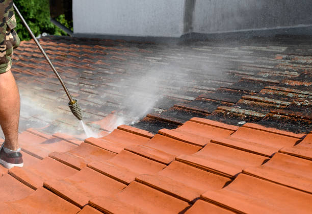 Best Exterior Home Cleaning  in Decatur, IN