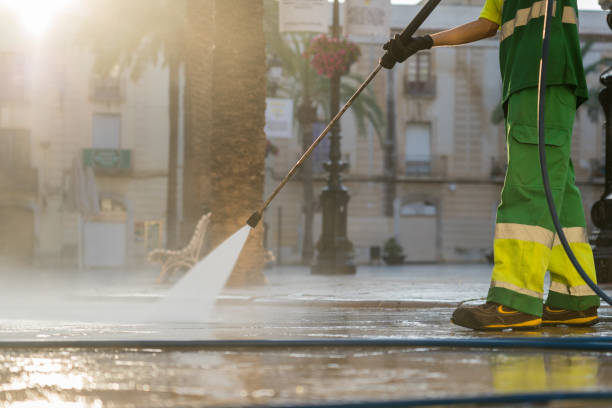 Best Roof Pressure Washing  in Decatur, IN